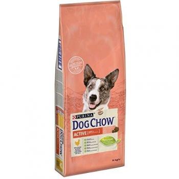 Dog Chow Active Dog Food with Chicken for Adult Dogs 14 kg