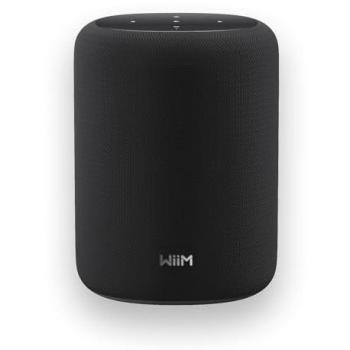 Altavoz Portátil Inteligente WiiM Sound Lite 100W con Wi-Fi 6E y Bluetooth 5.3