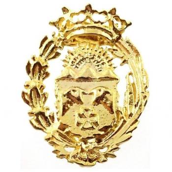 Insignia profesional Veterinaria escudo plata 925m Ley 16 mm pin chapado oro cierre trasero latón