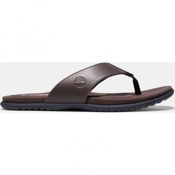 Timberland - Chanclas de hombre en piel marrón con plantilla OrthoLite® ligera y transpirable