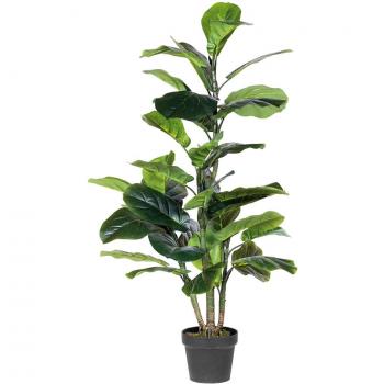 Planta Ficus Lyrata 120 cm - Ficus con hojas grandes y brillantes, altura de 120 cm, ideal para interiores, requiere luz indirecta brillante, riego moderado