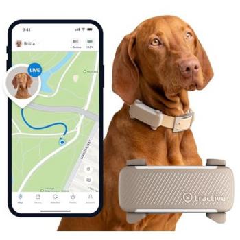 Rastreador GPS Tractive DOG 6 para perros - marrón | Localización en Tiempo Real | Alertas antifuga | Monitor de Actividad | Avisos de Salud