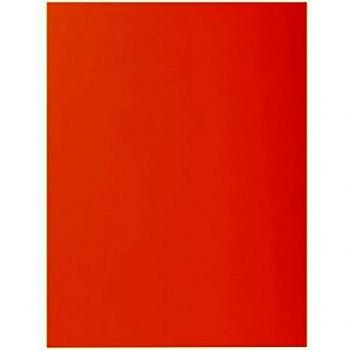 Exacompta 217126E - Lote de 10 Subcarpetas RockS 220, Color Naranja