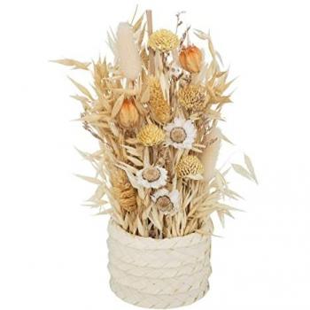 Arreglo de Flores Secas Beige en Maceta - Altura 25 cm, Diámetro 8,5 cm - Atmosphera