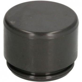 Émbolo de pinza del freno AUTOFREN SEINSA D025255 Delantero