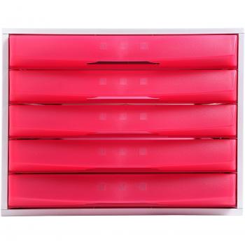 Exacompta 222085D - Caja organizadora, 5 cajones cerrados, color frambuesa