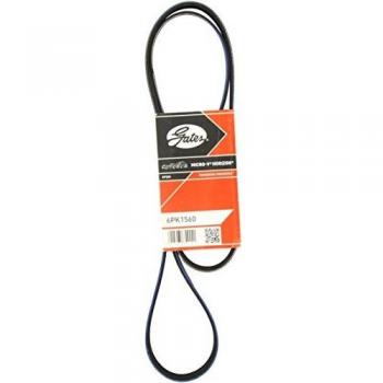 Correa trapecial poli V GATES 6PK1560, tipo de producto: correa V-ribbed, longitud: 1560 mm, número de ranuras: 6