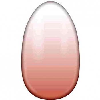 Miss Sophie Lámina de uñas -Nude Babyboomer, Degradado, Babyboomer, Nude, Nail Wraps -24 láminas de uñas autoadhesivas ultrafinas de larga duración
