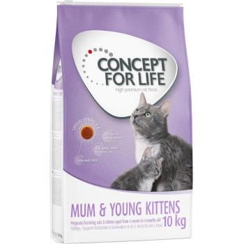 Concept for Life Mum & Young Kittens - 10 kg