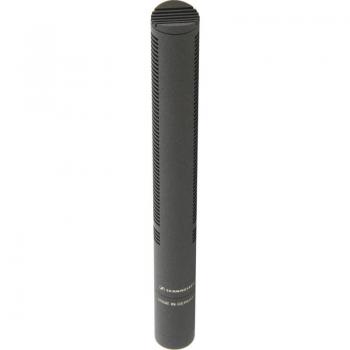 Sennheiser MKH 8060 Compact Shotgun Condenser Microphone