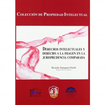 Derechos intelectuales y derecho a la imagen en la jurisprudencia comparada