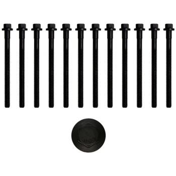 Ajusa 81019800 Juego de Tornillos de Culata