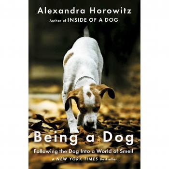 Canine Olfactory Exploration: Understanding the World Through a Dog's Sense of Smell