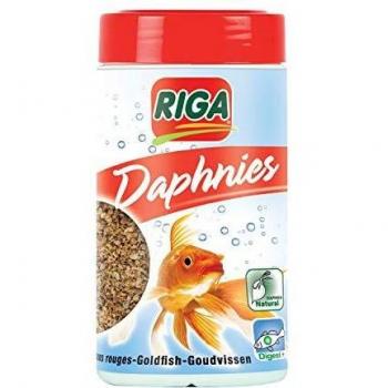 Riga 11690 - Cold Daphnies para Peces Rojos y de Agua fría, 38 g