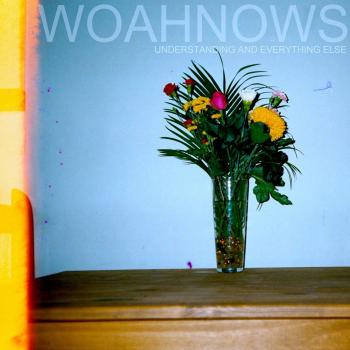 Understanding and Everything Else VINYL