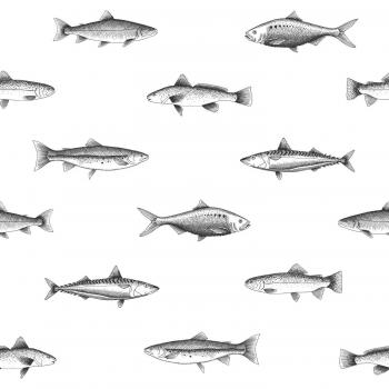 Papel pintado de peces en blanco y negro - 0,53 x 10,05 m