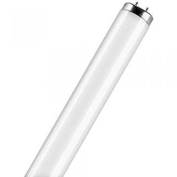 Osram Lámpara Fluorescente