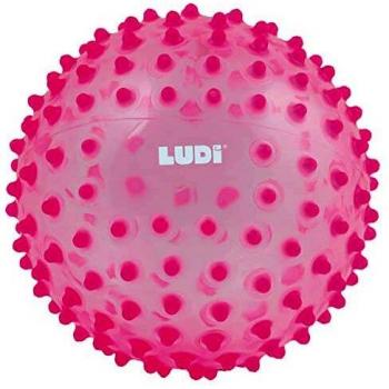 Ludi – Pelota sensorial transparente Rose