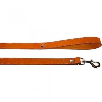 Correa de Cuero Natural para Perro 25mm x 1m Color Marrón Claro Zolux