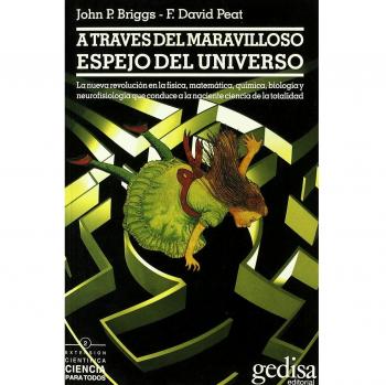 A través del maravilloso espejo del universo