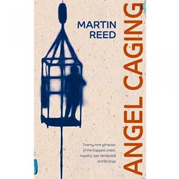 Cautiverio de Ángeles - Libro en Español