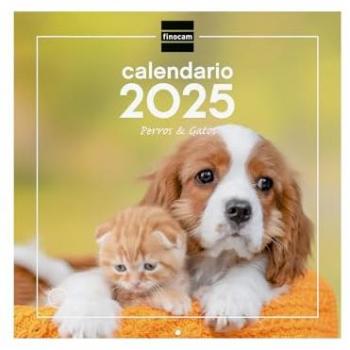 Finocam - Calendario Imágenes de Pared 30x30 para Escribir 2025 Perros y gatos Enero 2025 - Diciembre 2025 (12 meses) Español