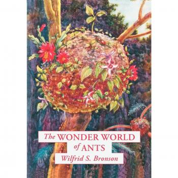 Ants: The Fascinating World of Ants by Wilfrid S. Bronson