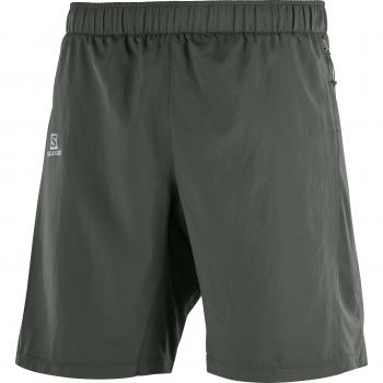 Salomon Agile 2in1 Pantalones Cortos, Hombre, Verde