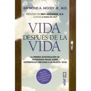 Vida después de la vida