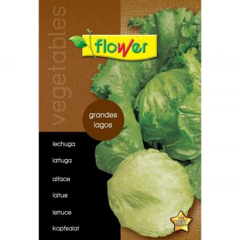 Flower - Sobre semillas lechuga