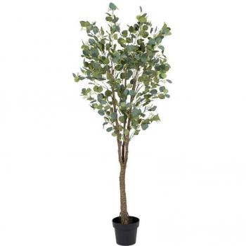 Planta Decorativa Eucalipto 80 x 75 x 173 cm Verde PVC