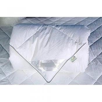 Color de rosa de la pluma 15% ganso blanco abajo 85% / Edredón de pluma de ganso/del edredón para el invierno modessimple // // doble King super King 10Tog 100% algodón orgánico 233tc, blanco, tela, Blanco, 254x229cm