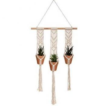Planta x 3 suspensión Terra Haci H 75