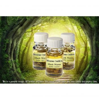 Rituales hechizos Pagan Wicca Anise, Star