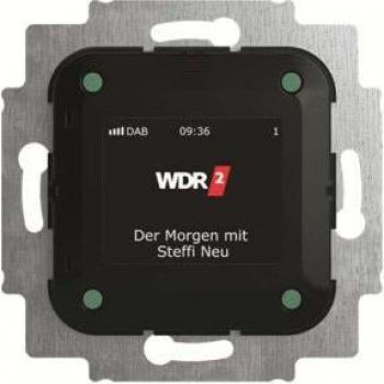 Busch-Jaeger Radio Insert 8215 U-101