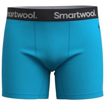 Smartwool Men's Active Pool Blue Boxer Briefs - Size Medium