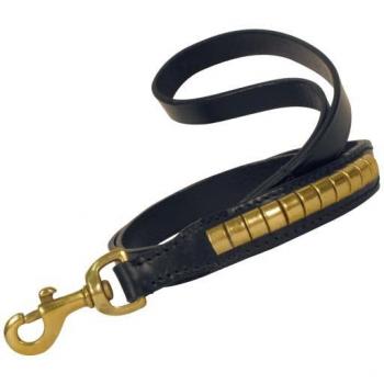 Correa para Perro Gloria Duna Negro 110 cm, fabricada en nylon resistente, con un diseño ergonómico y cómodo, incluye un mosquetón de alta calidad para mayor seguridad y durabilidad