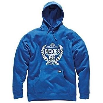 Dickies SH3005 - Sudadera con capucha hamilton, azul xl rb,