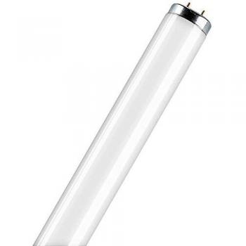 Osram T12 Typo SA - Lámpara fluorescente, G13L 65 W/640 SA