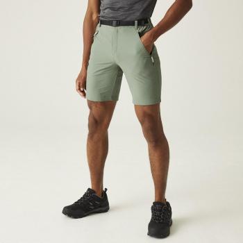 Regatta Xert Strshort III - Pantalón corto de montaña para hombre, color verde, talla M