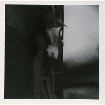 Answer,the [Vinilo]
