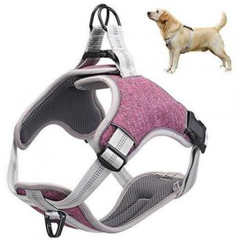 Arnés para Perros sin tirón, Mejor Entrenamiento Reflectante para Caminar al Aire Libre, Malla Acolchada en el Pecho Transpirable Ajustable, con Regalo 1 Campana pequeña Gratis