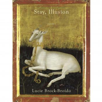 Stay, Illusion: Poems