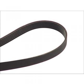 Contitech V-Ribbed Belt 6PK935