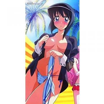 Zero no Tsukaima F (24x46 inch, 60x115 cm) Silk Poster Seda Cartel PJ17-318D