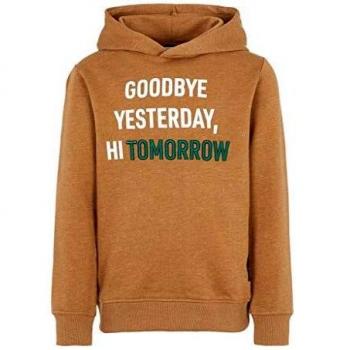 NAME IT - Sudadera con Capucha para niño Braun/Toasted Coconut 116 cm