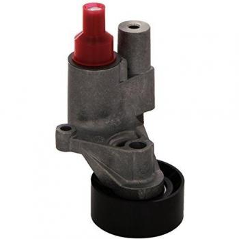 Dayco APV2295 Tensor de correa, correa poli V