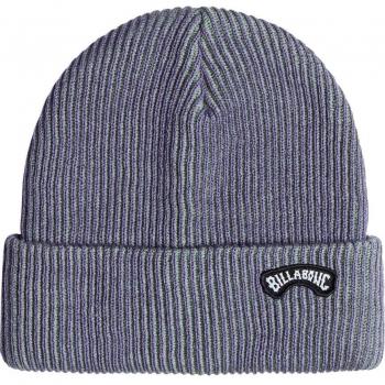 Billabong Arch Patch Beanie for Men