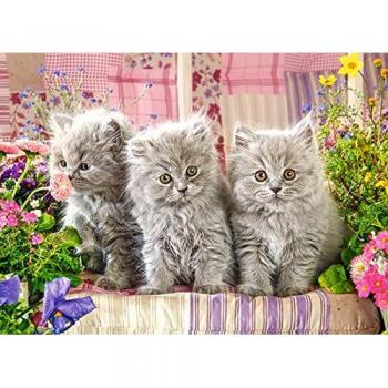 Puzzle Castorland Tres Gatitos Grises 300 Piezas