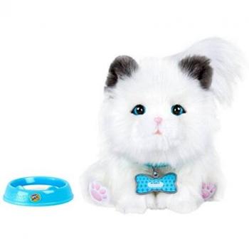 Little Live Pets- Sleepy Kitty, versión española